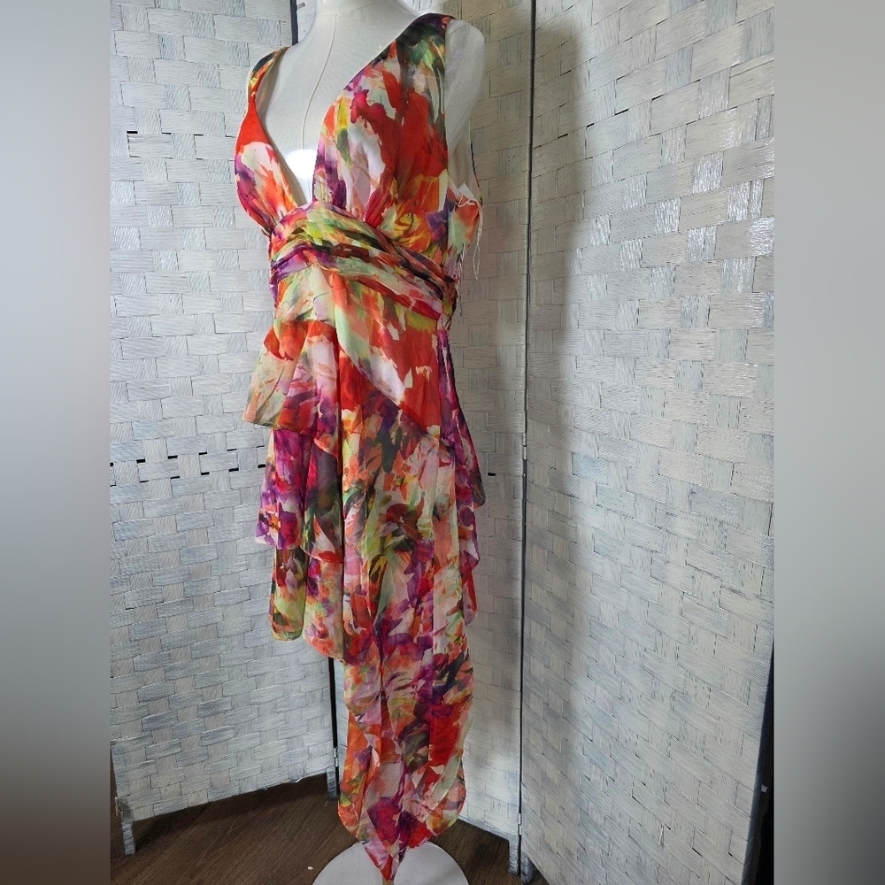 LIV FOSTER DRESS - Picture 5 of 14